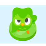 Duolingo owl