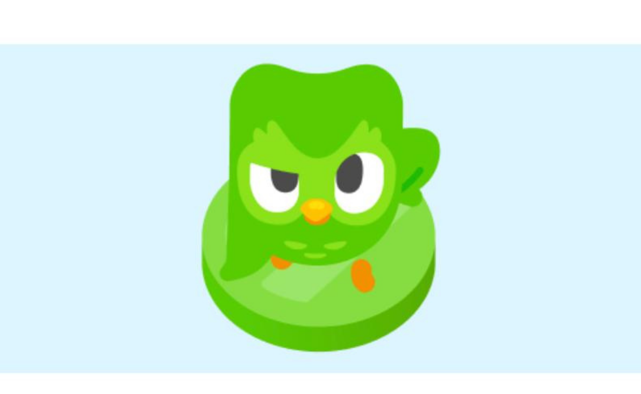 Duolingo owl