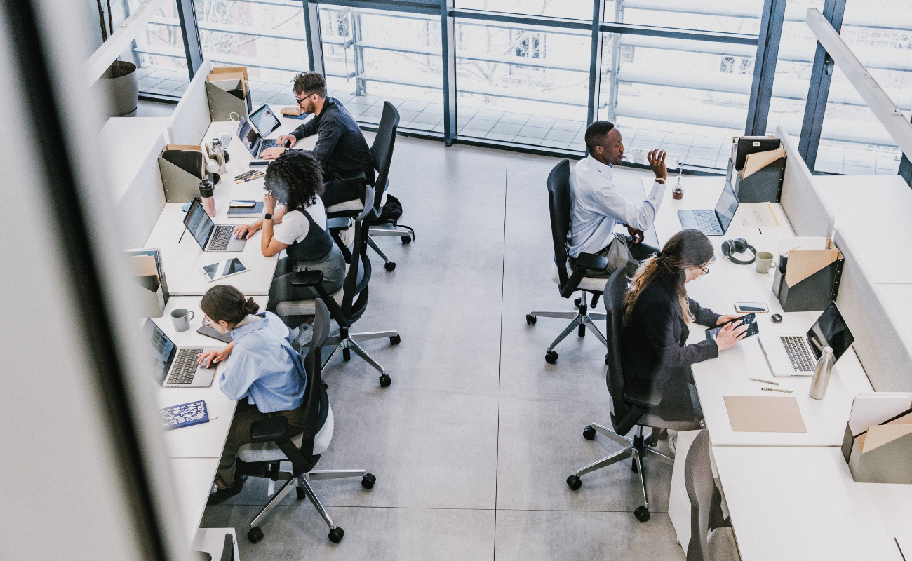 employees working at a startup
